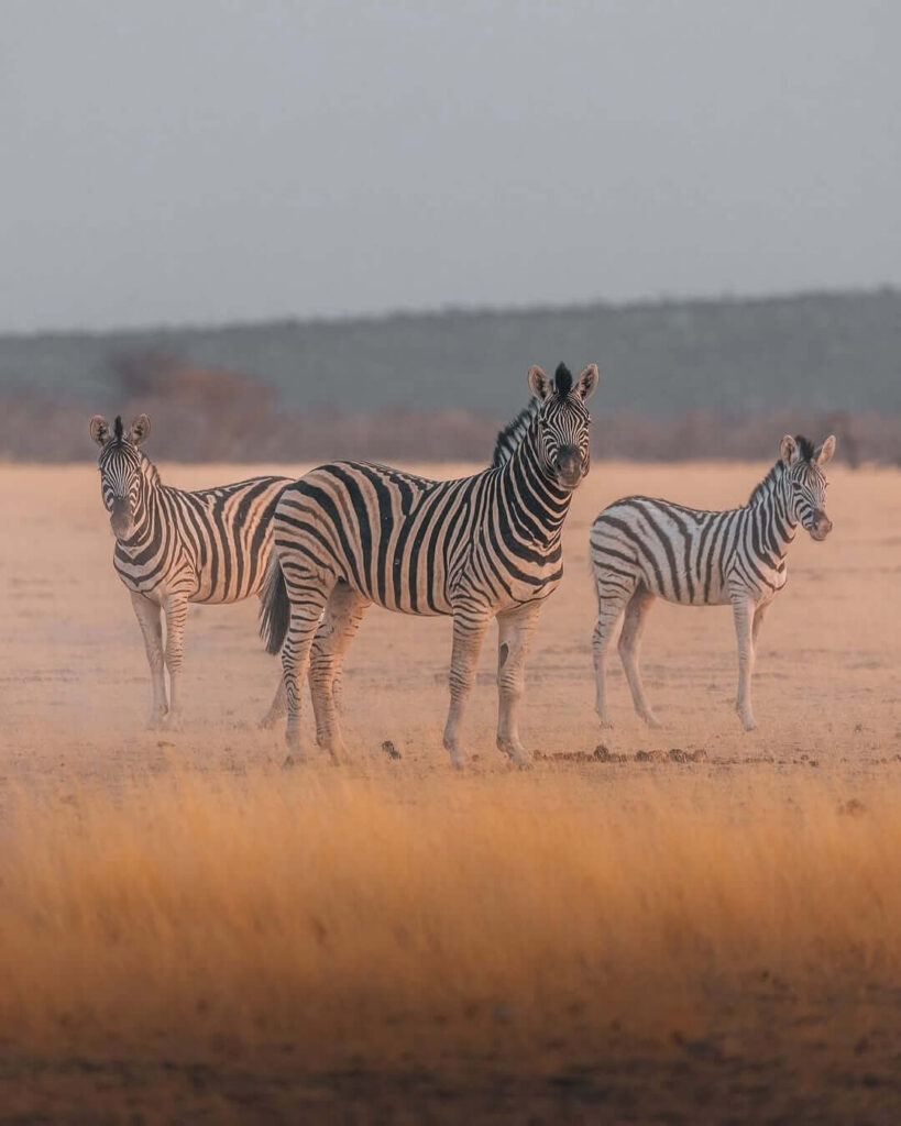 Group travel experience in Africa booked with Travel Afrique