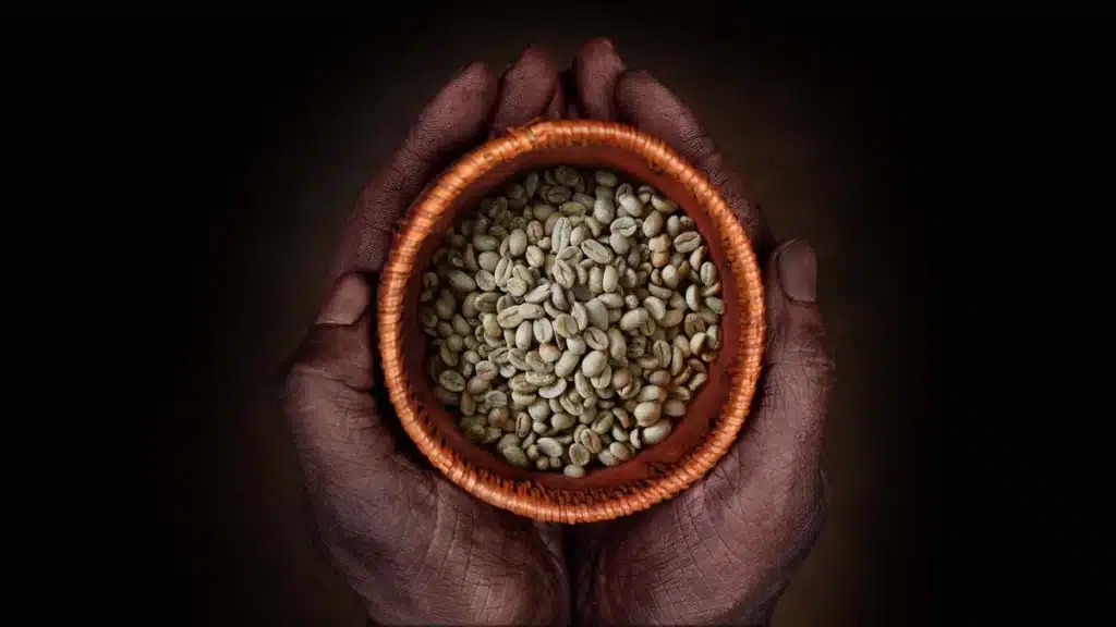Desta’s Coffee Ethiopian Rainforest Origin